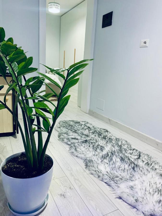 דירות טיראנה Cozy Corner מראה חיצוני תמונה