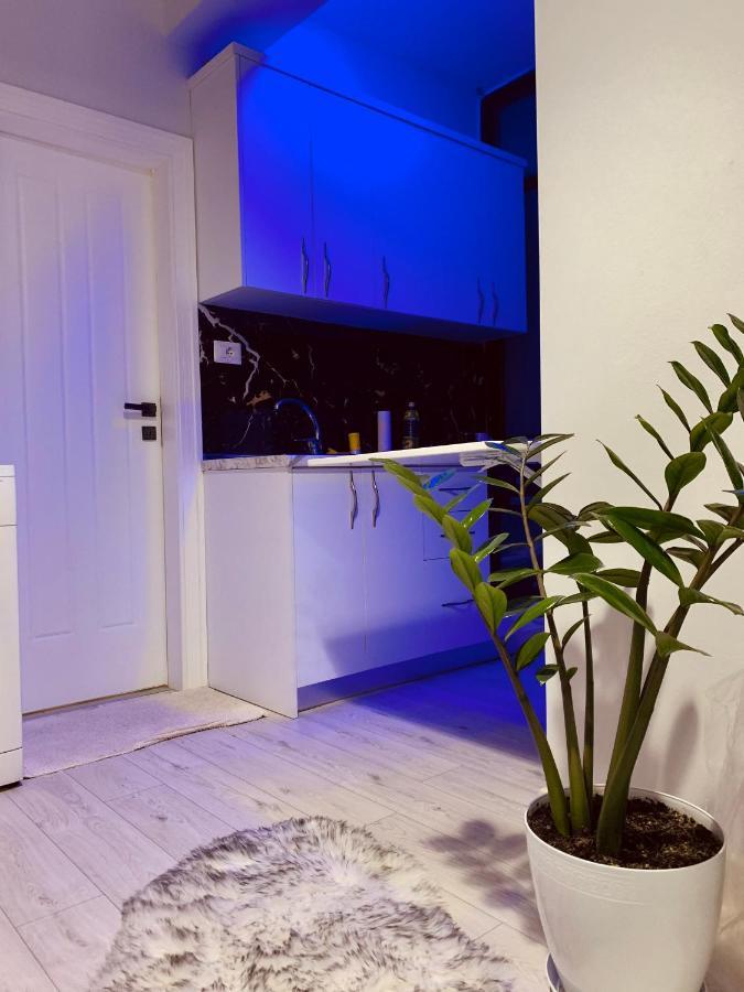 דירות טיראנה Cozy Corner מראה חיצוני תמונה
